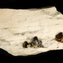 Jordanite, Sphalerite - image 1