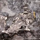 Joséite-B with Native Gold in Bismuth - image 1