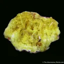 Jouravskite on Manganite - image 1