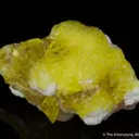 Jouravskite on Xonotlite - image 2