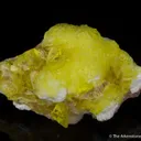 Jouravskite on Xonotlite - image 1