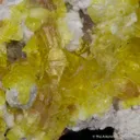 Jouravskite on Xonotlite - image 6
