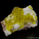 Jouravskite on Xonotlite - image 6