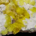 Jouravskite on Xonotlite - image 5