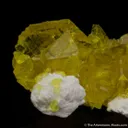 Jouravskite on Xonotlite - image 4