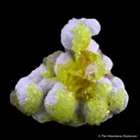 Jouravskite on Xonotlite - image 1