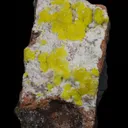 Jouravskite on Xonotlite - image 3