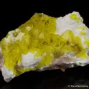 Jouravskite on Xonotlite - image 5