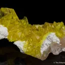 Jouravskite on Xonotlite - image 5