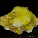 Jouravskite on Xonotlite - image 3