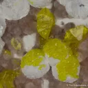 Jouravskite on Xonotlite with Bultfonteinite - image 1