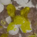 Jouravskite on Xonotlite with Bultfonteinite - image 5