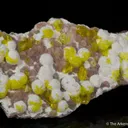 Jouravskite on Xonotlite with Bultfonteinite - image 4
