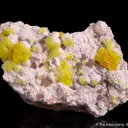 Jouravskite with Xonotlite on Oyelite - image 1