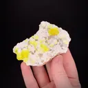 Jouravskite with Xonotlite on Oyelite - image 2