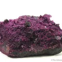 Kammererite With Acicular Erythrite - image 1