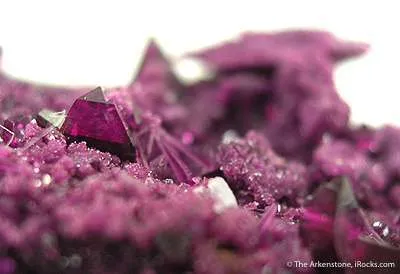 Kammererite With Acicular Erythrite - image 3