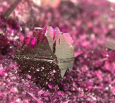 Kammererite With Acicular Erythrite - image 2