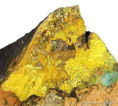 Kamotoite and Astrocyanite With Uranophane on Uraninite - image 2