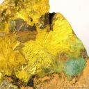 Kamotoite and Astrocyanite With Uranophane on Uraninite - image 3