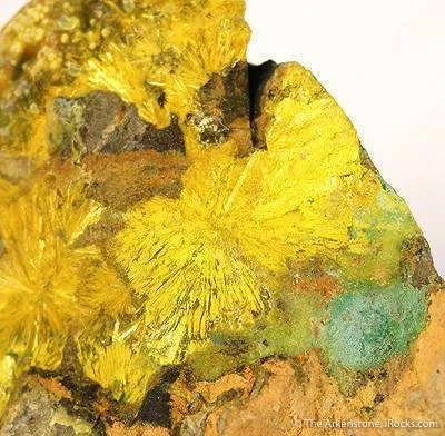 Kamotoite and Astrocyanite With Uranophane on Uraninite - image 3