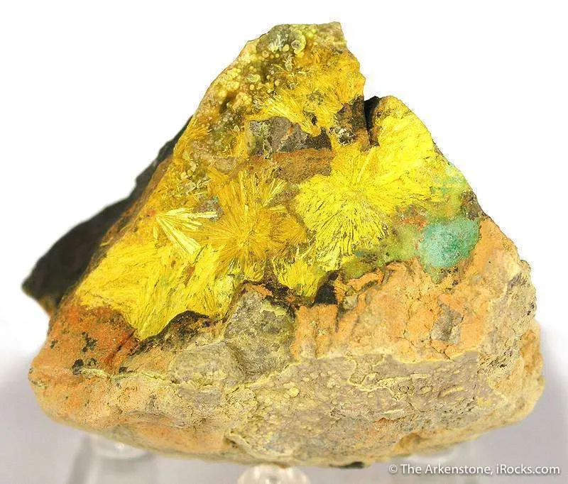 Kamotoite and Astrocyanite With Uranophane on Uraninite image