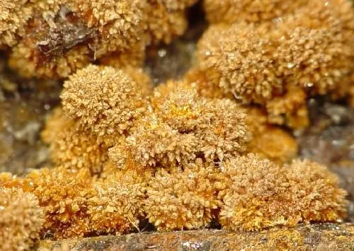 Karibibite - image 2