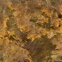 Karibibite (rare locale) - image 3