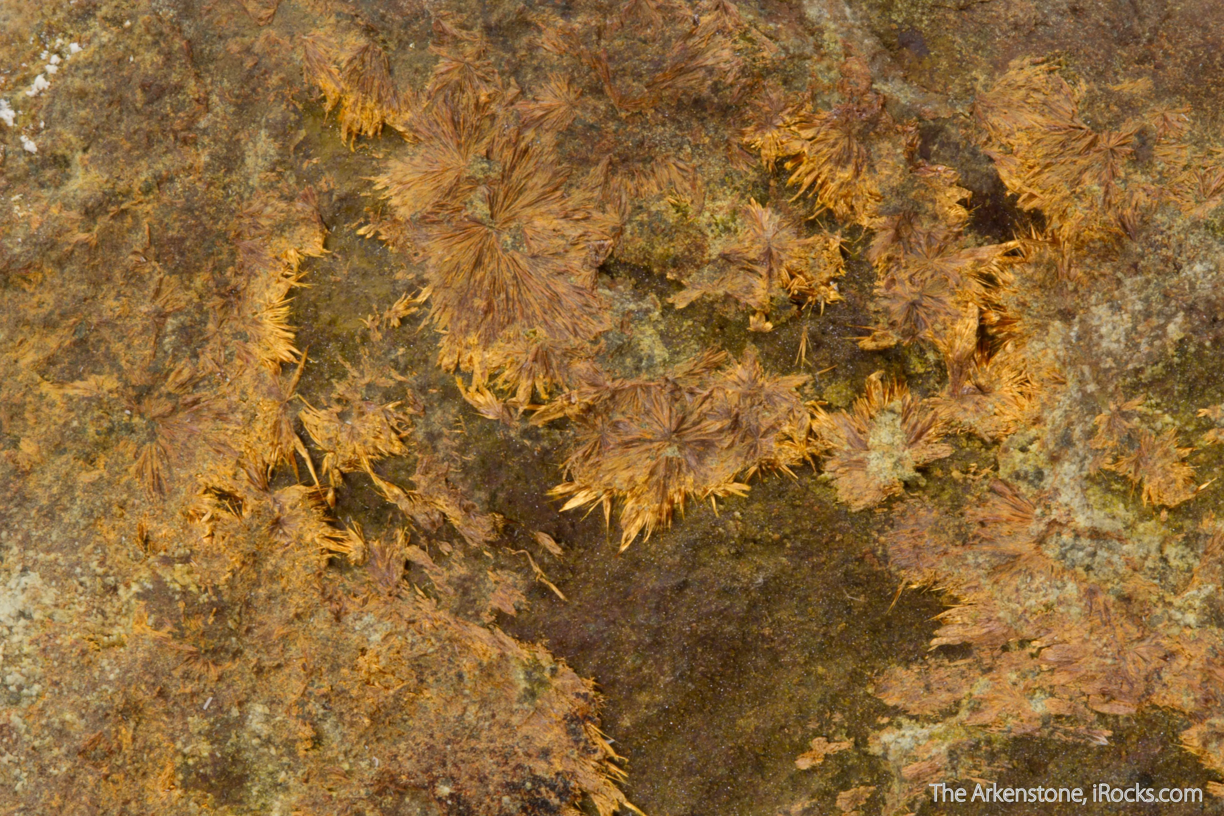 Karibibite (rare locale) - image 3