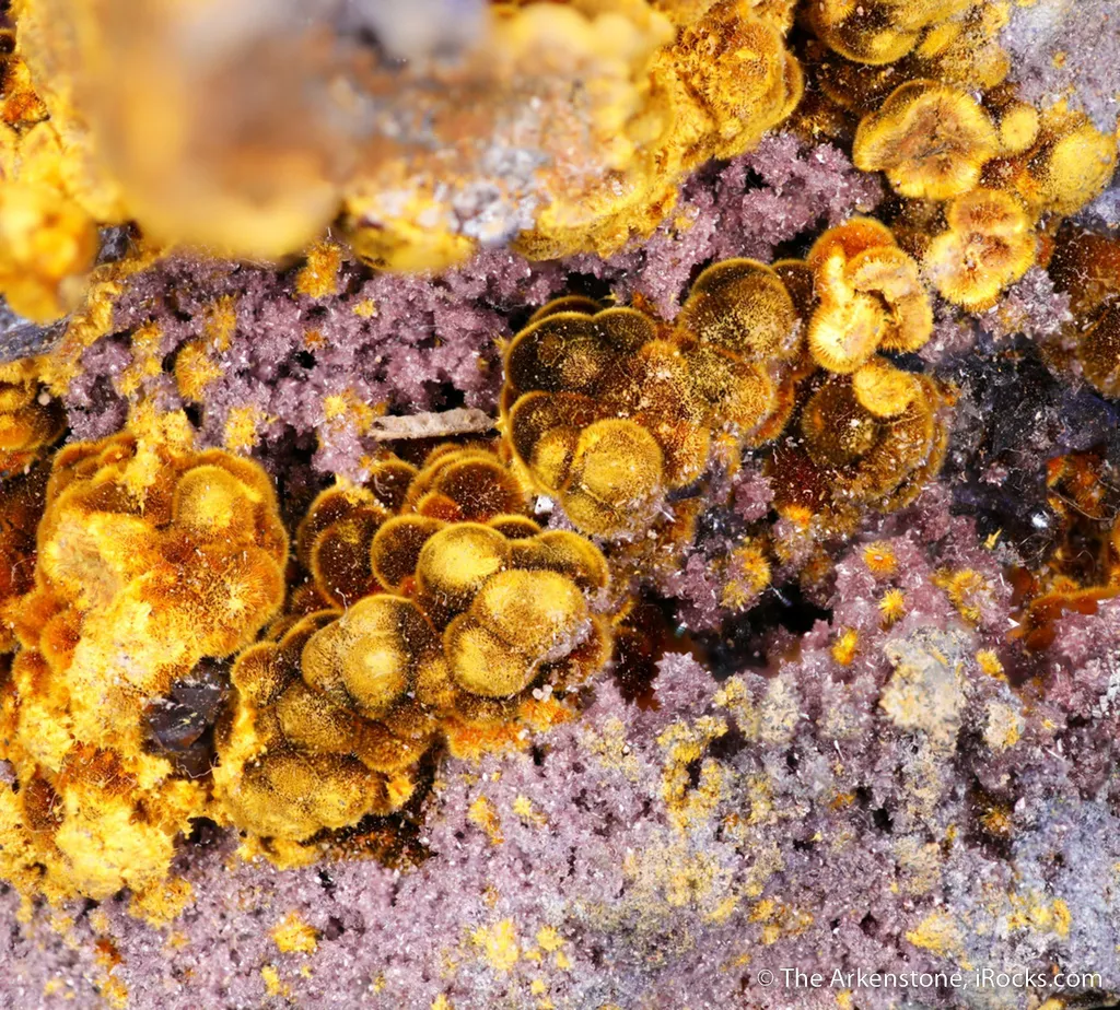 Karibibite, Scorodite, and Erythrite image