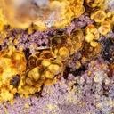 Karibibite, Scorodite, and Erythrite - image 1
