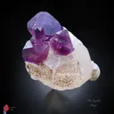 Karur Amethyst on Calcite. - image 1