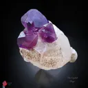 Karur Amethyst on Calcite. - image 5