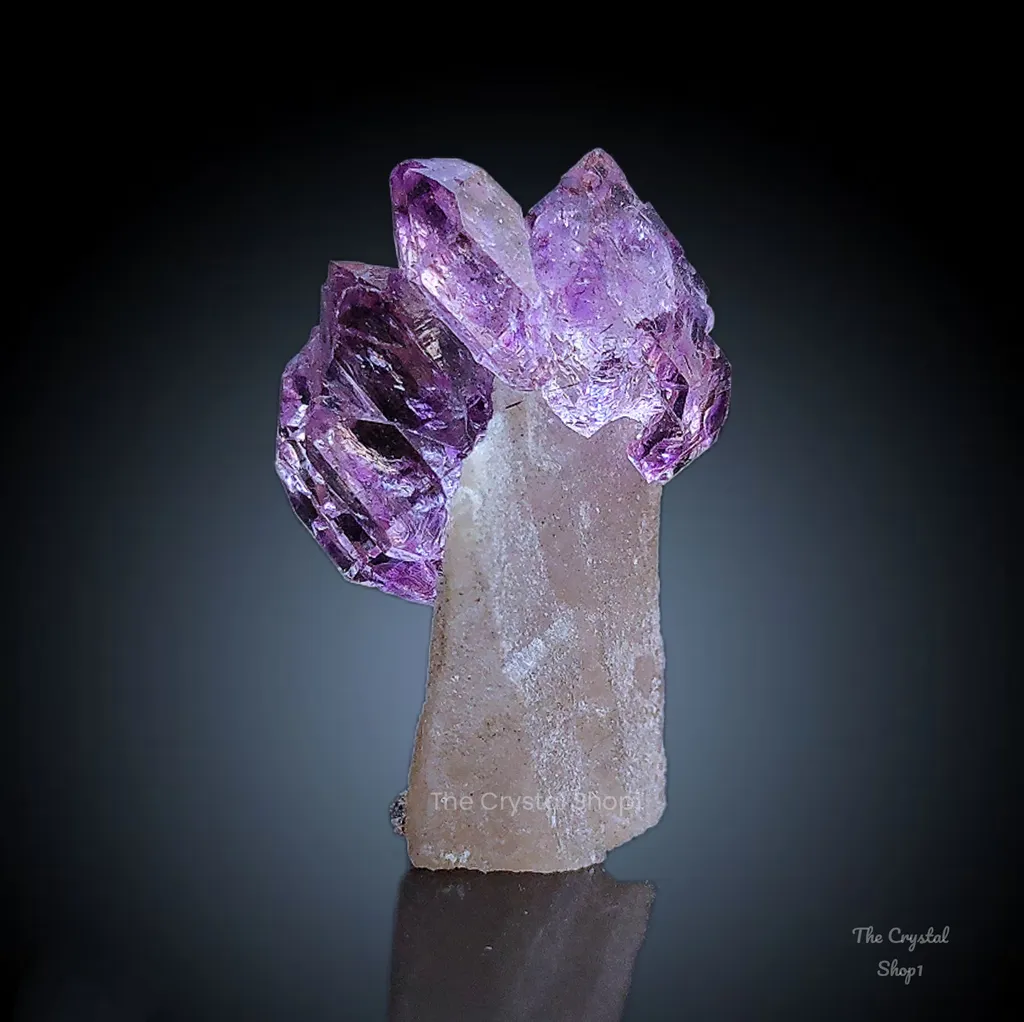 Karur Amethyst on Quartz image