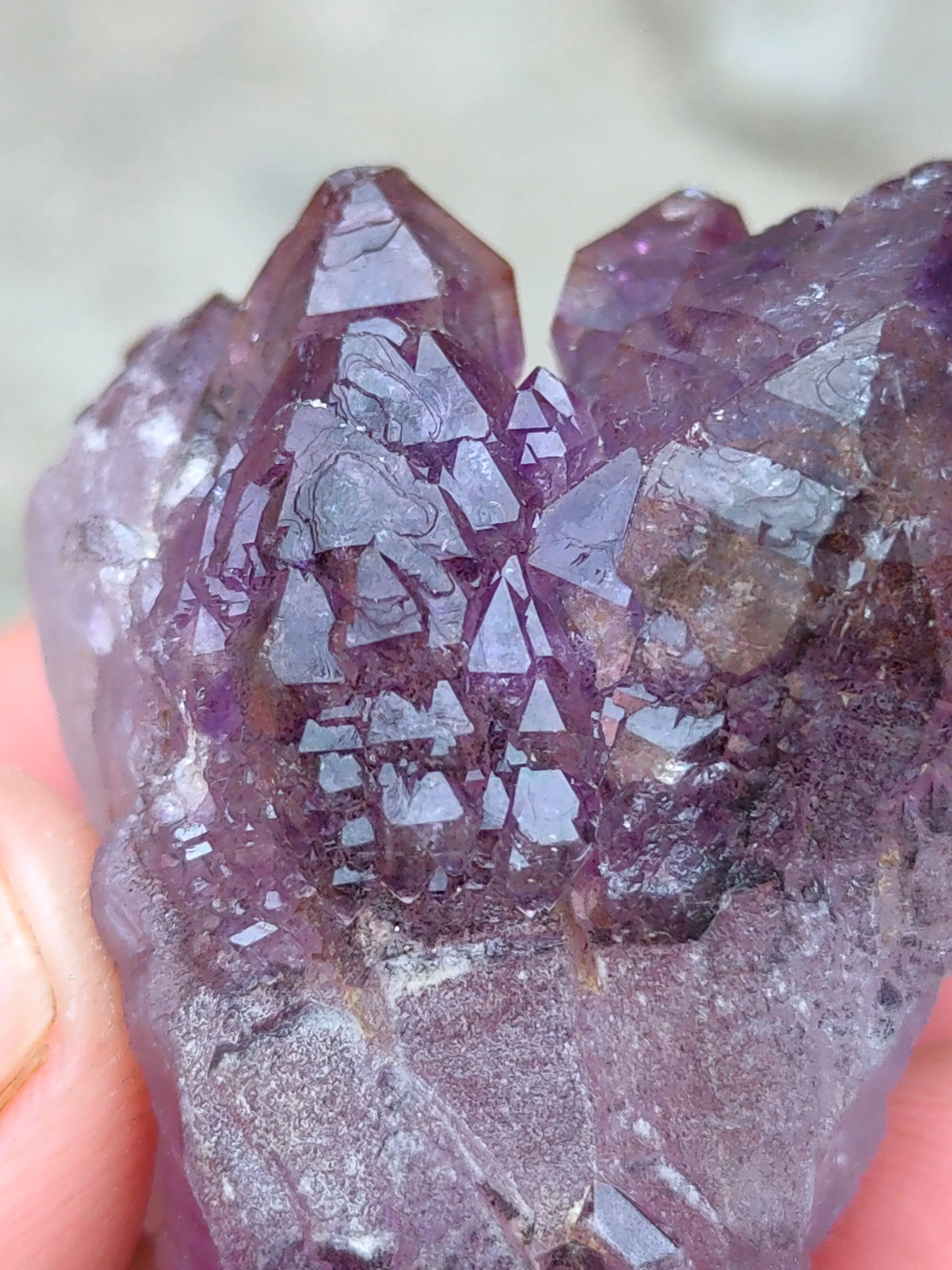 Karur Amethyst sceptre - image 2