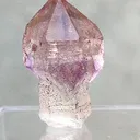 specimen video