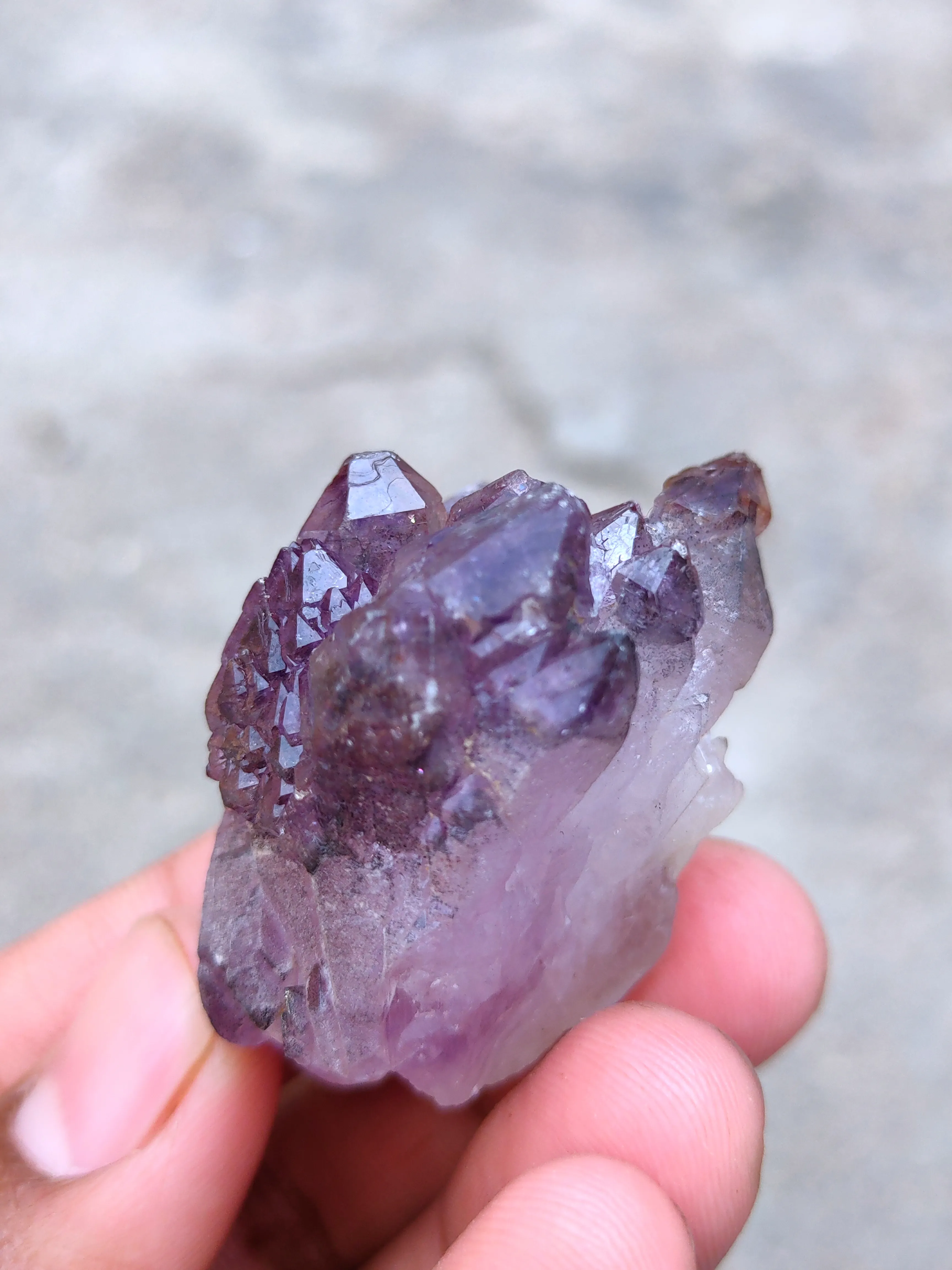 Karur Amethyst sceptre - image 4