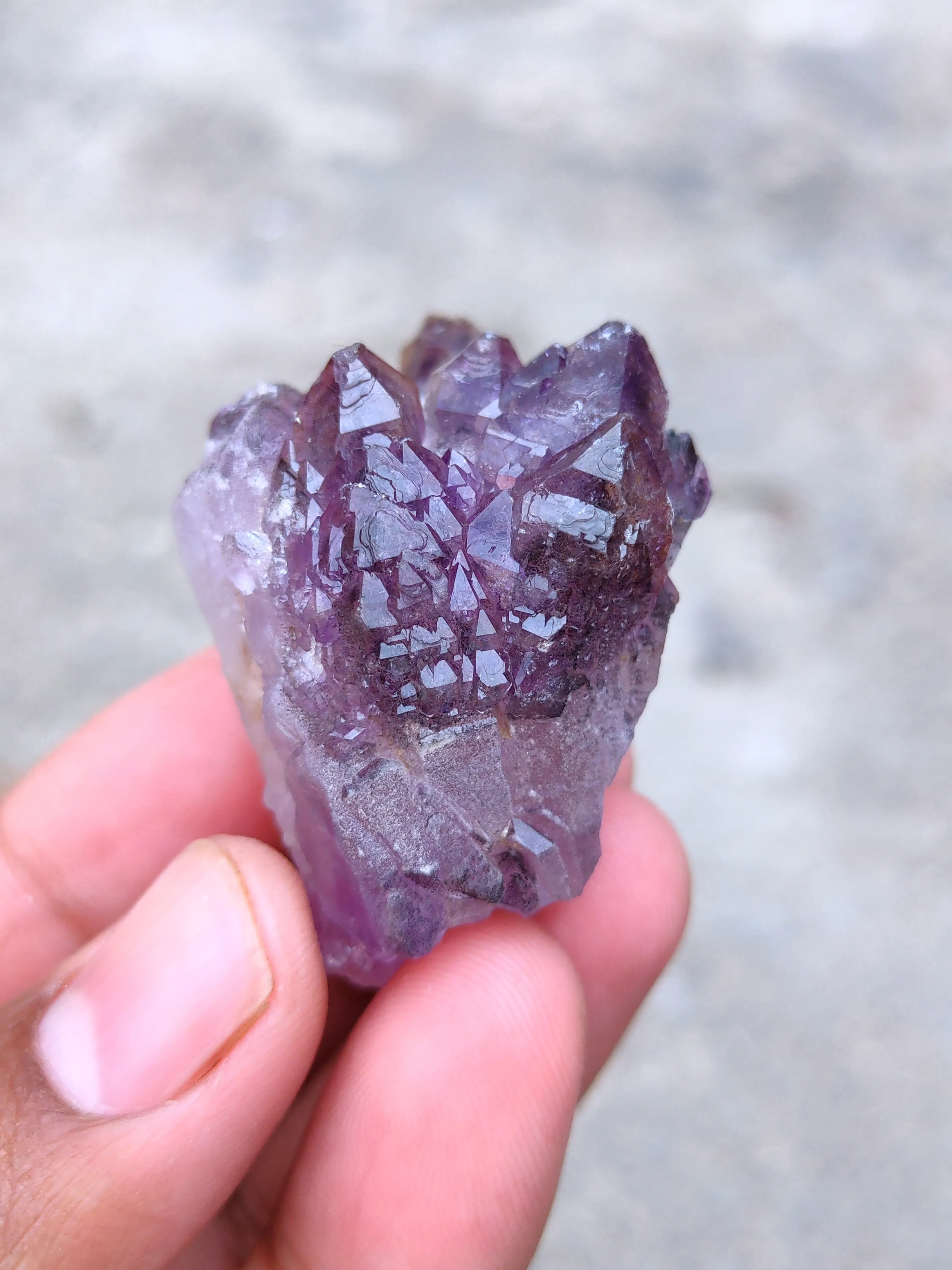 Karur Amethyst sceptre - image 3
