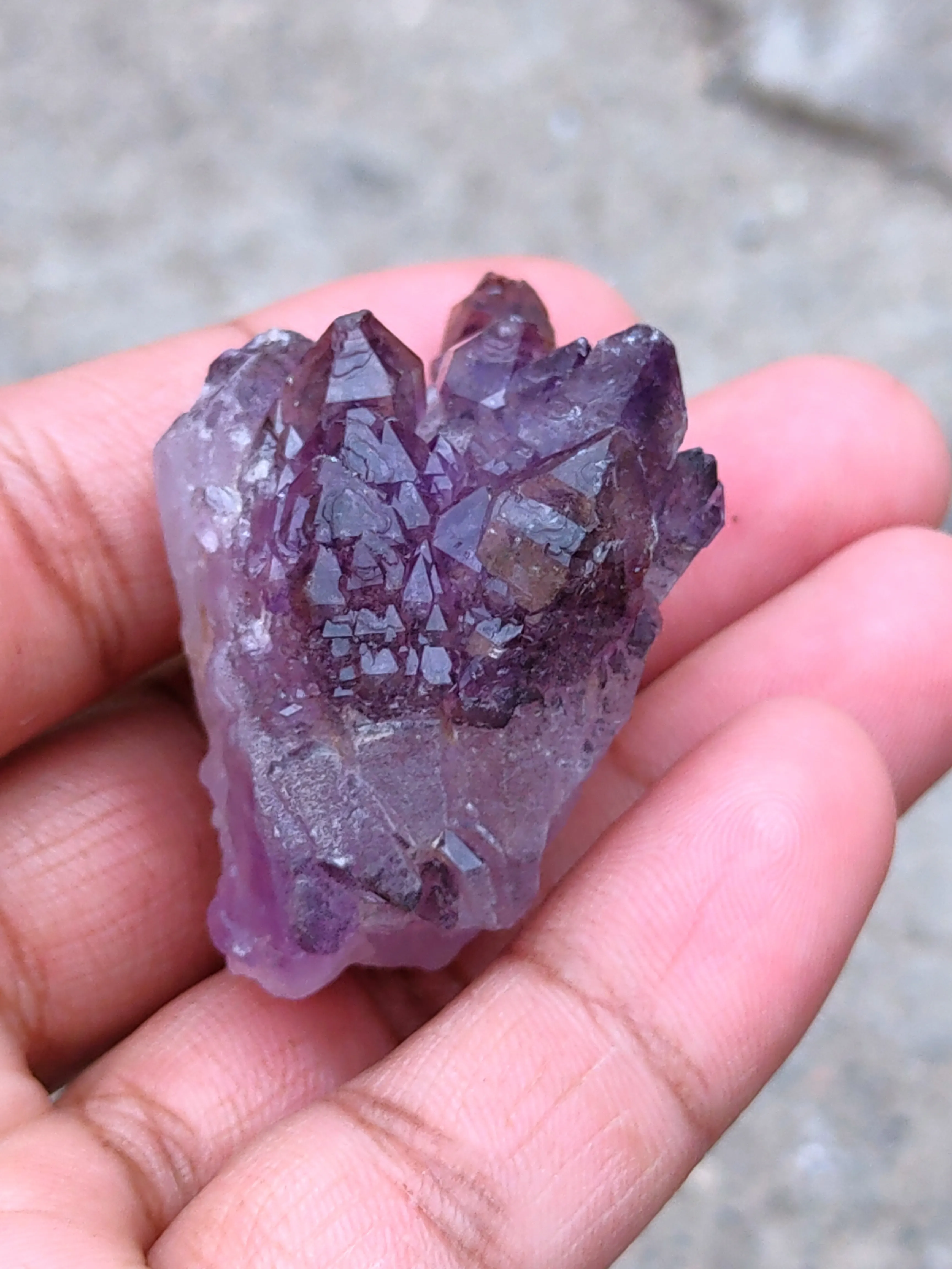 Karur Amethyst sceptre - image 6
