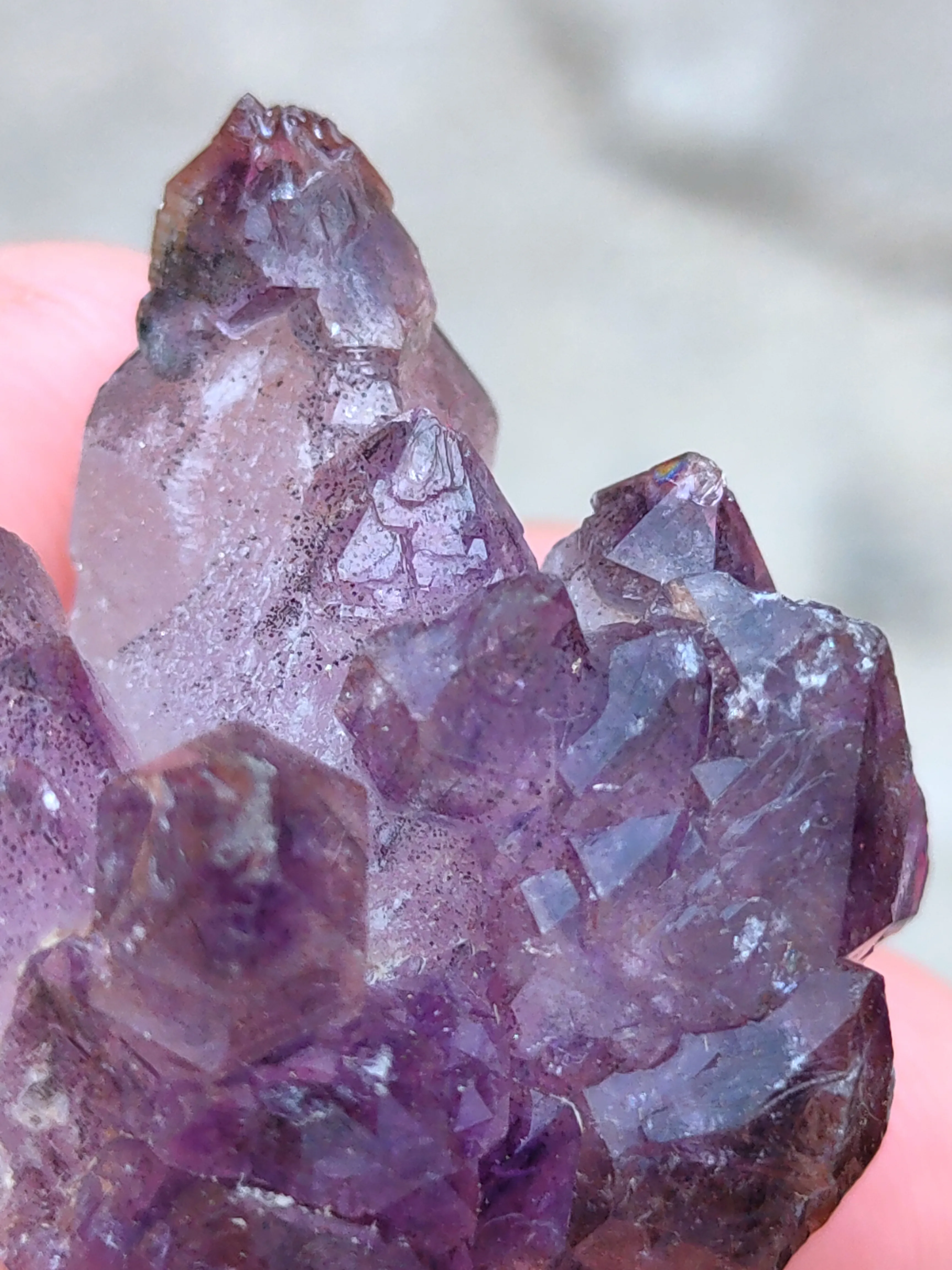 Karur Amethyst sceptre - image 5