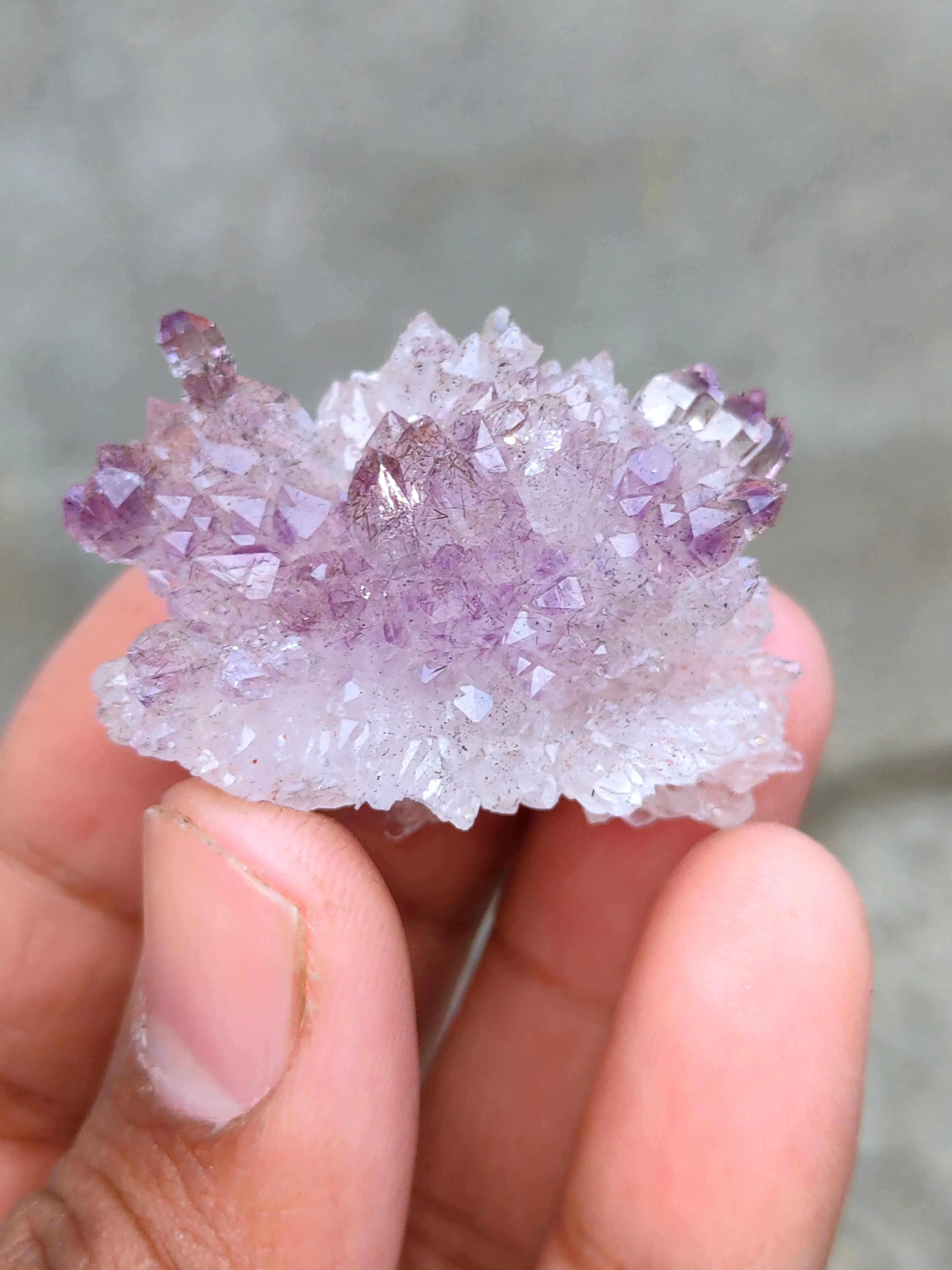 Karur Amethyst sceptre Flower in black Rutiles - image 4