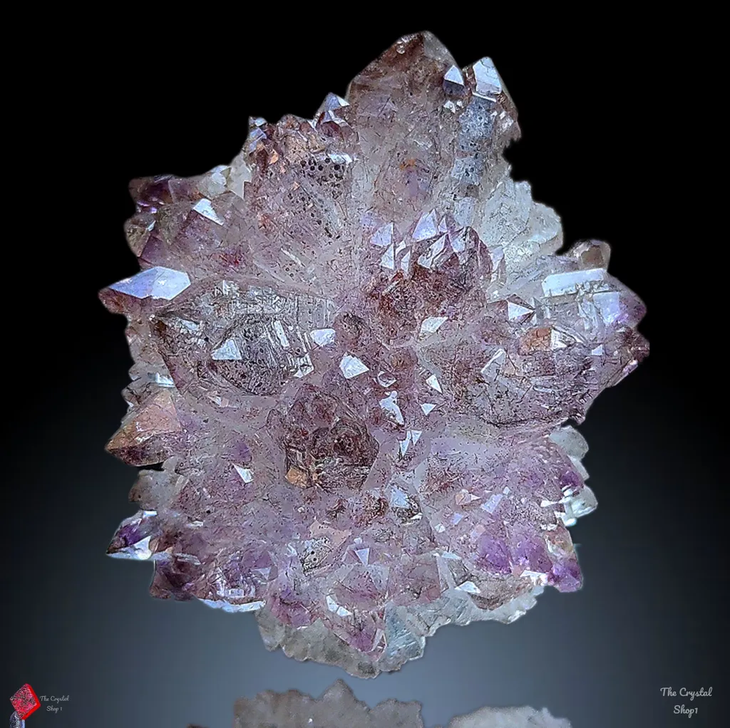 Karur Amethyst sceptre Flower in black Rutiles