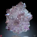 Karur Amethyst sceptre Flower in black Rutiles - image 1