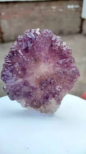 specimen video