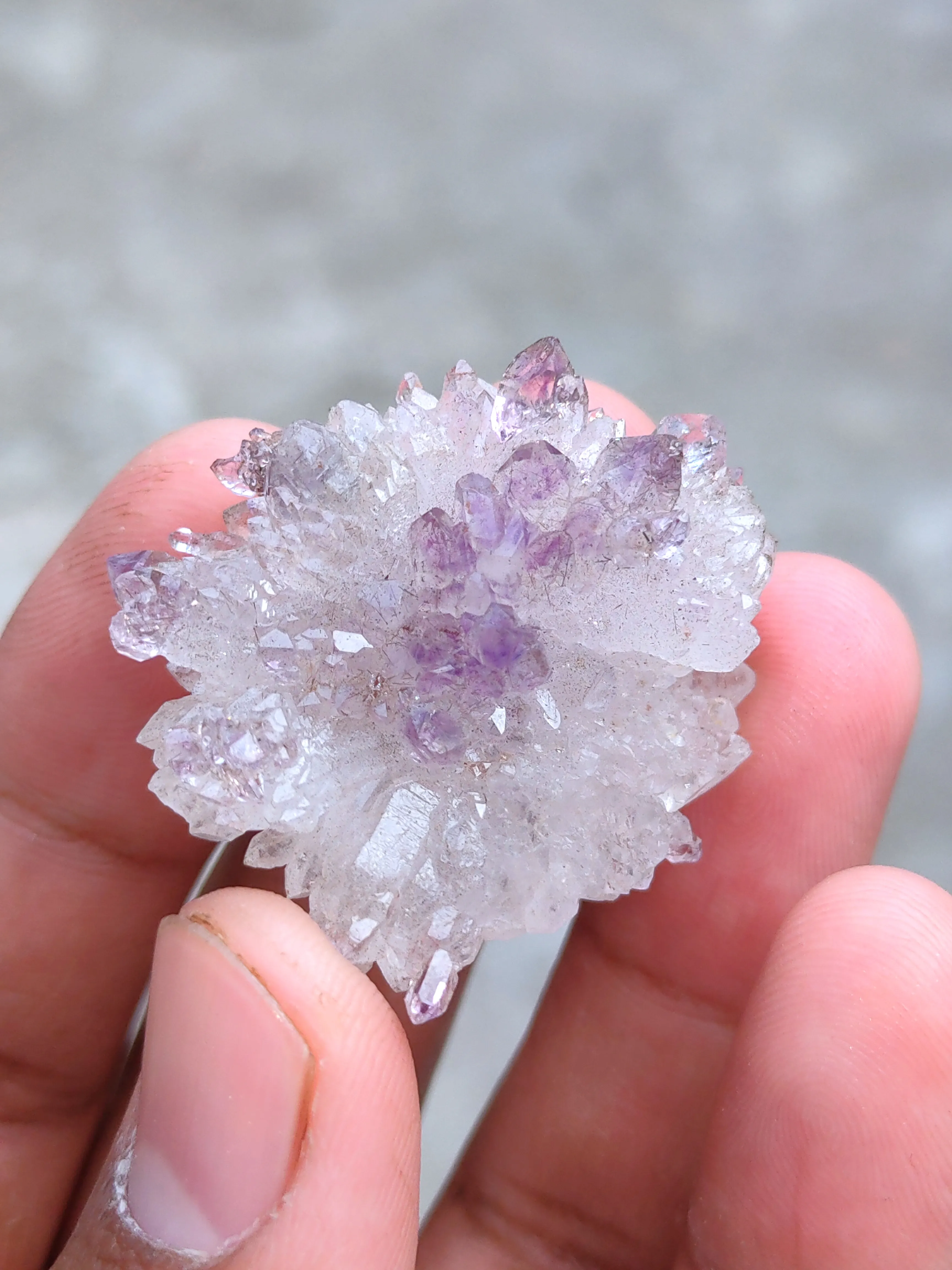 Karur Amethyst sceptre Flower with black Rutiles - image 3