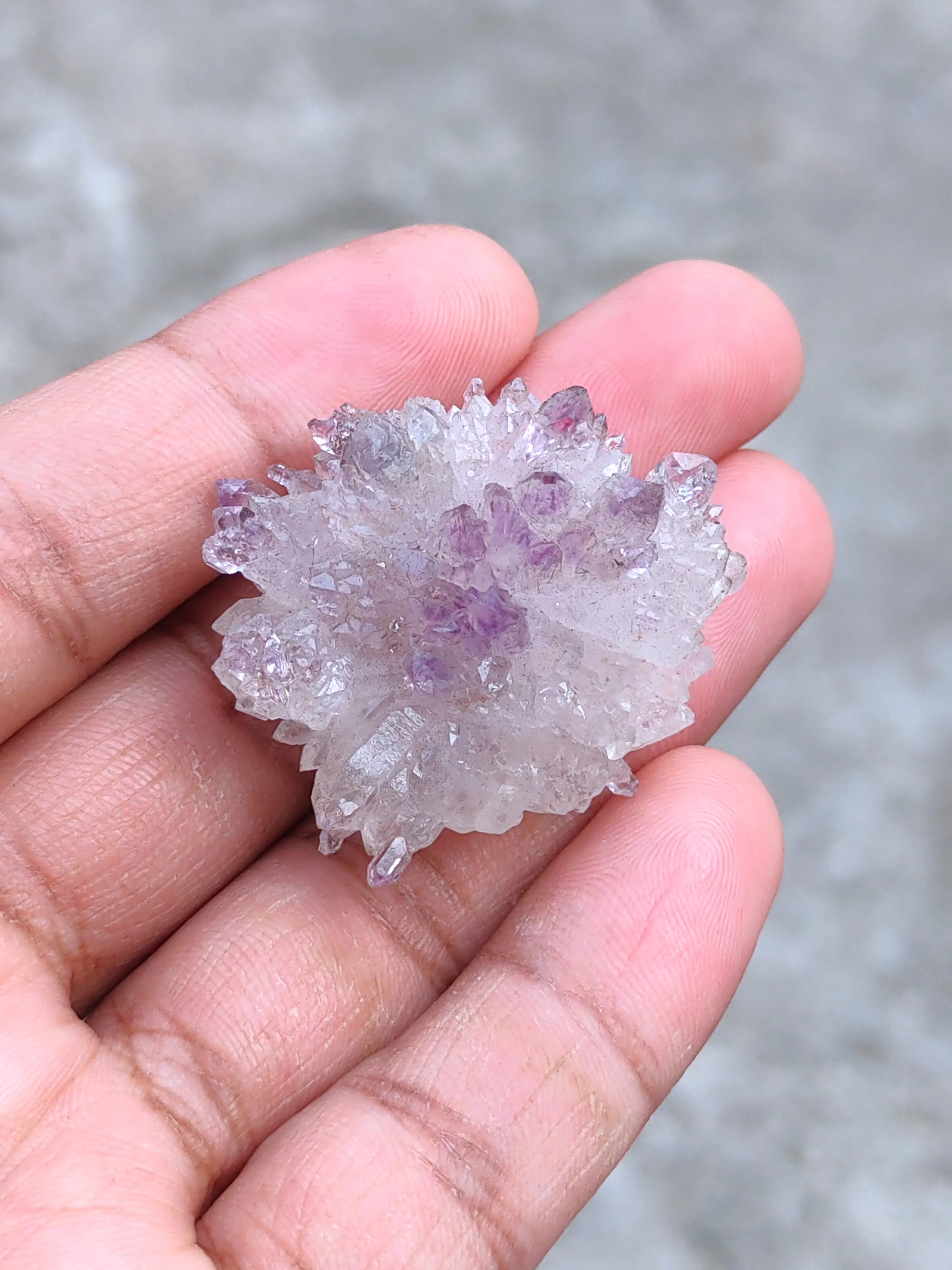 Karur Amethyst sceptre Flower with black Rutiles - image 7