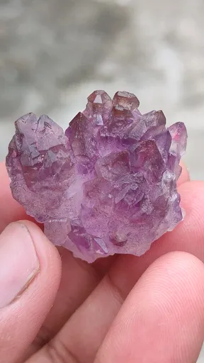 specimen video