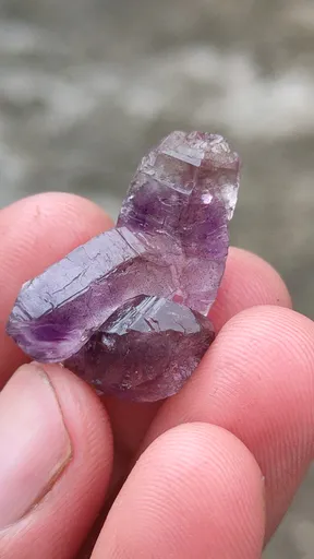specimen video