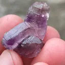 specimen video