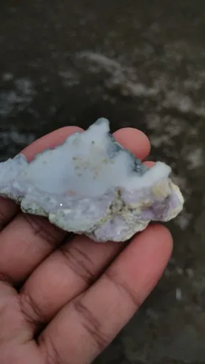specimen video